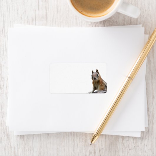 Ground Squirrel Etiket (Insitu)