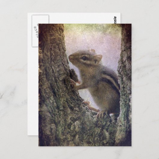 Ground Squirrel Grunge Briefkaart (Voorkant / Achterkant)