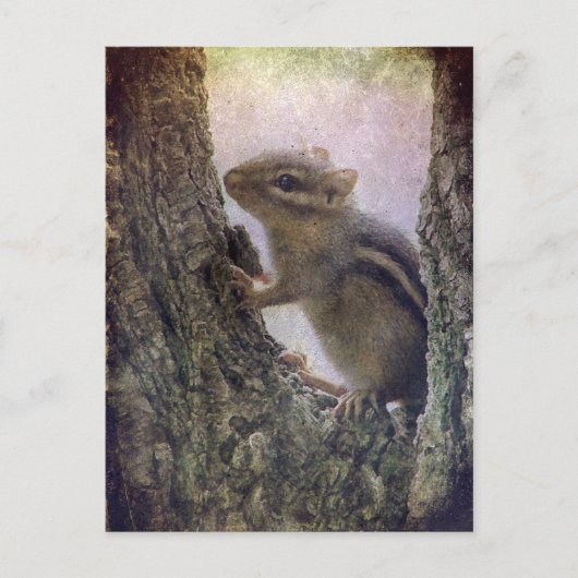 Ground Squirrel Grunge Briefkaart (Voorkant)
