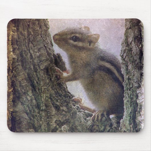 Ground Squirrel Grunge Muismat (Voorkant)