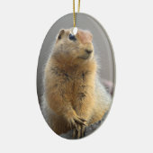 Ground Squirrel Keramisch Ornament (Links)