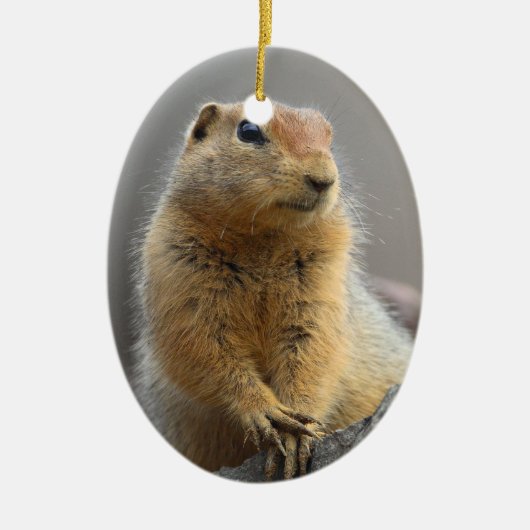 Ground Squirrel Keramisch Ornament (Voorkant)