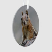 Ground Squirrel Ornament (voorkant)