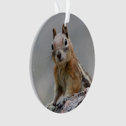 Ground Squirrel Ornament (voorkant)