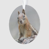 Ground Squirrel Ornament (voorkant)