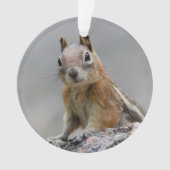 Ground Squirrel Ornament (voorkant)