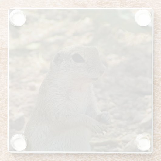Ground Squirrel Permanent Fotowoestijn Glazen Onderzetter (Achterkant)