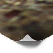 Ground Squirrel uit Tucson Arizona Poster (Hoek)