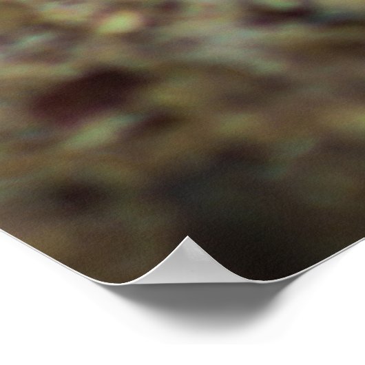 Ground Squirrel uit Tucson Arizona Poster (Hoek)