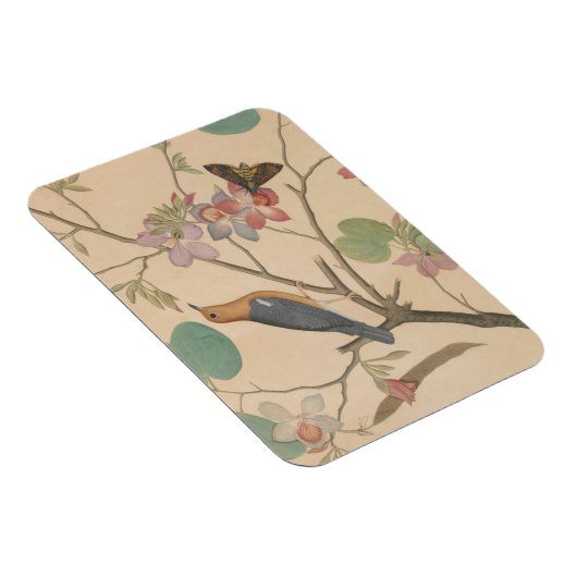 Ground Thrush and Moth on an Orchid Branch Magneet (Rechterzijde)