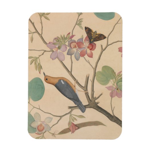 Ground Thrush and Moth on an Orchid Branch Magneet (Verticaal)