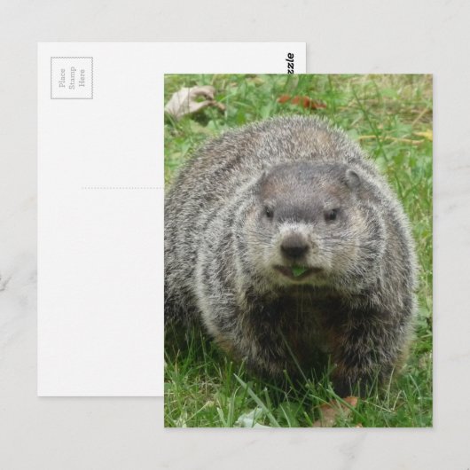 Groundhoetsen Briefkaart (Voorkant / Achterkant)