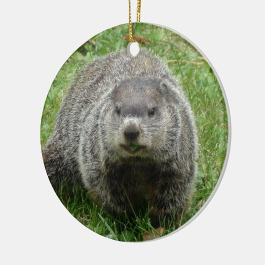 Groundhoetsen Keramisch Ornament (Links)