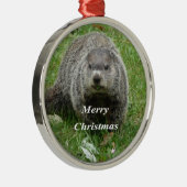 Groundhoetsen Metalen Ornament (Rechts)