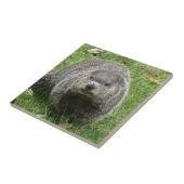 Groundhoetsen Tegeltje (Zijkant)