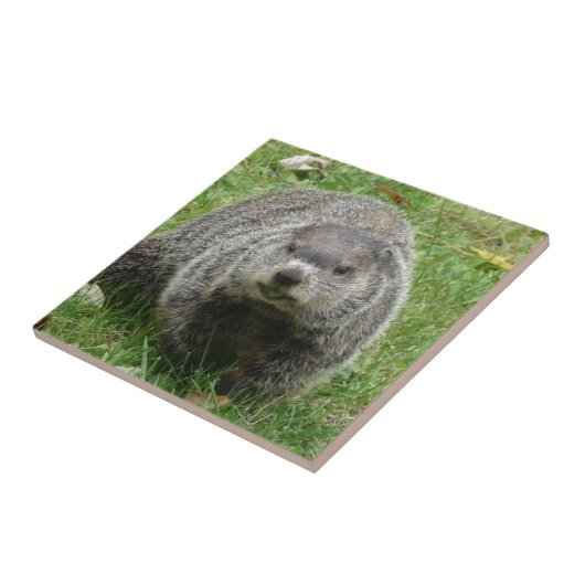 Groundhoetsen Tegeltje (Zijkant)