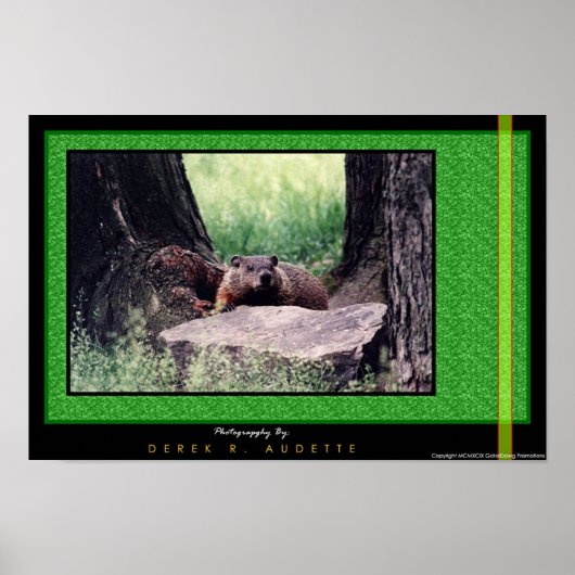 GroundHog 2 Poster (Voorkant)