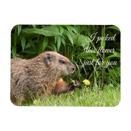 Groundhog aka Woodchuck met bloem Magneet (Horizontaal)
