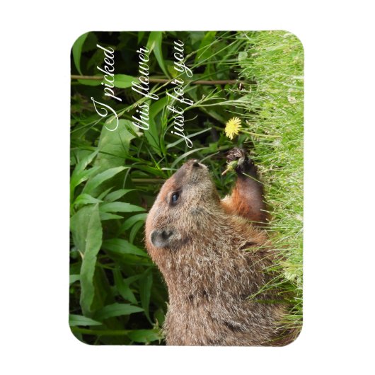 Groundhog aka Woodchuck met bloem Magneet (Verticaal)