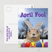 Groundhog April Fool Day Briefkaart (Voorkant / Achterkant)