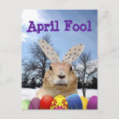 Groundhog April Fool Day Briefkaart (Voorkant)