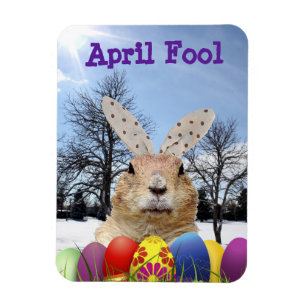 Groundhog April Fool Day Magneet