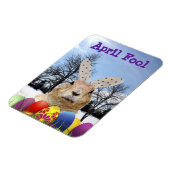 Groundhog April Fool Day Magneet (Linkerzijde)