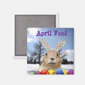Groundhog April Fool Day Magneet (Voorkant / Achterkant)