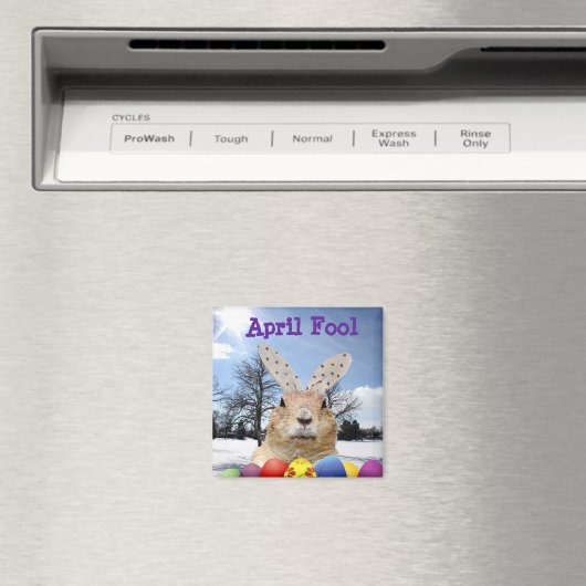 Groundhog April Fool Day Magneet (Insitu (Vaatwasser))