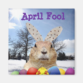 Groundhog April Fool Day Magneet