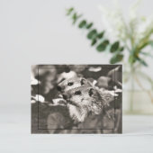 Groundhog Babies Briefkaart (Staand voorkant)