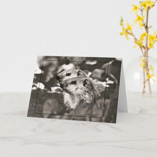 Groundhog Babies Kaart (Gele Bloem)