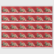 Groundhog Bessie en Red Squirrel Bluster Giftwrap