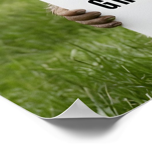 Groundhog Day-Afbeelding Poster (Hoek)