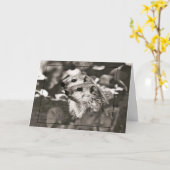 Groundhog Day Babies Kaart (Gele Bloem)