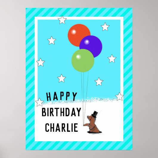 Groundhog Day Birthday Poster (Voorkant)