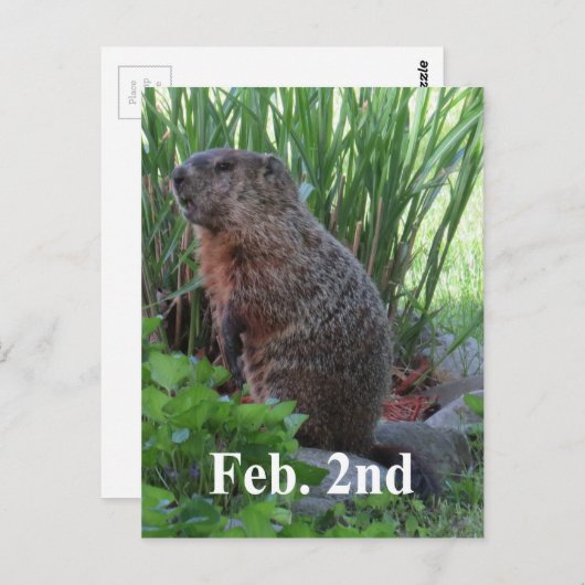 Groundhog Day Briefkaart (Voorkant / Achterkant)