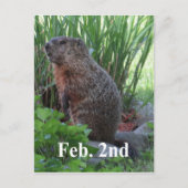 Groundhog Day Briefkaart (Voorkant)