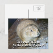 Groundhog Day Briefkaart (Voorkant / Achterkant)