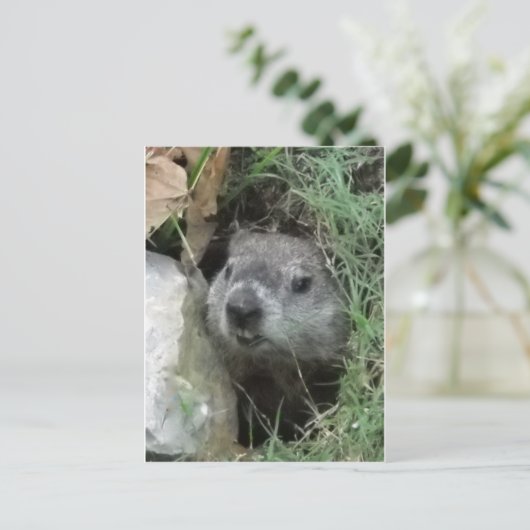 Groundhog Day Briefkaart (Staand voorkant)