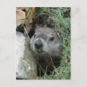 Groundhog Day Briefkaart (Voorkant)