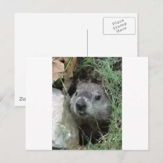 Groundhog Day Briefkaart (Voorkant / Achterkant)