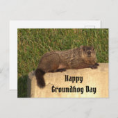 Groundhog Day Briefkaart (Voorkant / Achterkant)