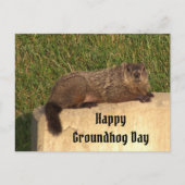 Groundhog Day Briefkaart (Voorkant)
