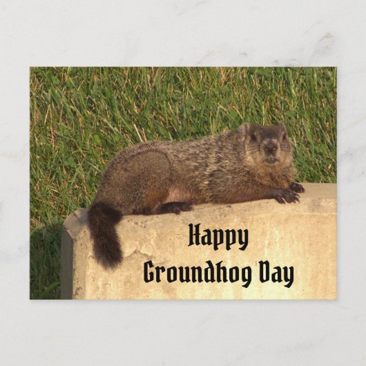Groundhog Day Briefkaart (Voorkant)