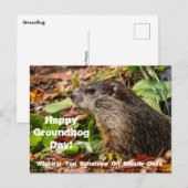 Groundhog Day Briefkaart (Voorkant / Achterkant)