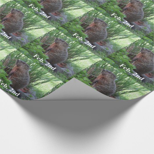 Groundhog Day Cadeaupapier (Hoek)
