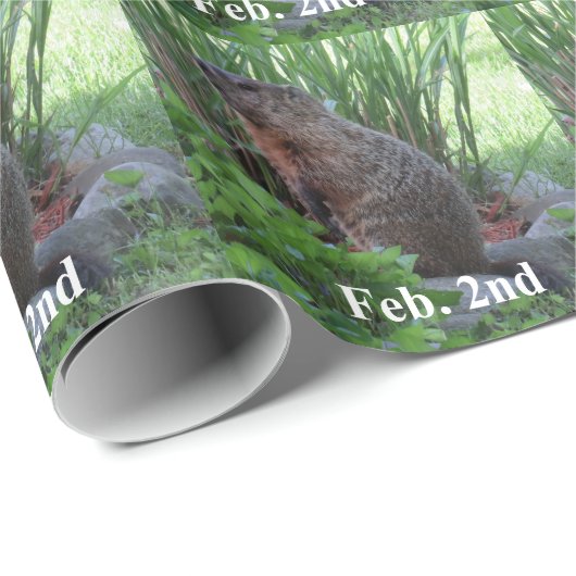 Groundhog Day Cadeaupapier (Rol Hoek)