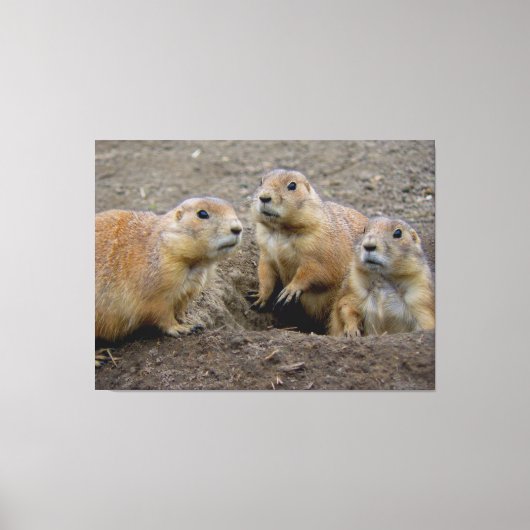 Groundhog Day Canvas Afdruk (Voorkant)