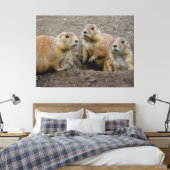 Groundhog Day Canvas Afdruk (Insitu (Slaapkamer))